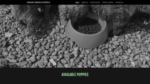 Screenshot of