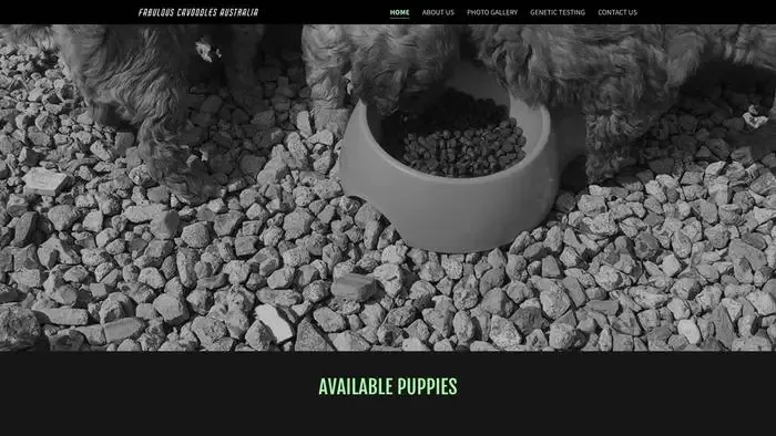 Screenshot of