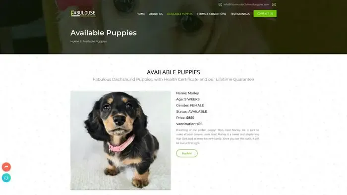 Screenshot of