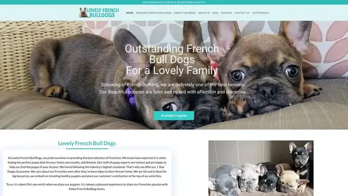 Screenshot of