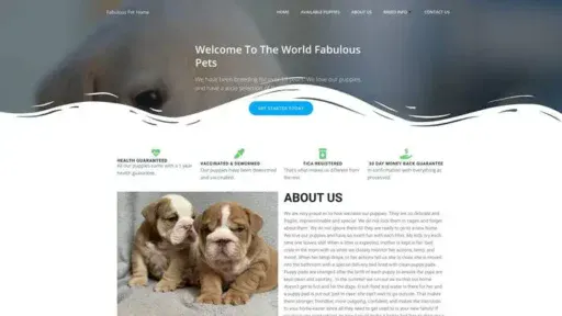Screenshot of
