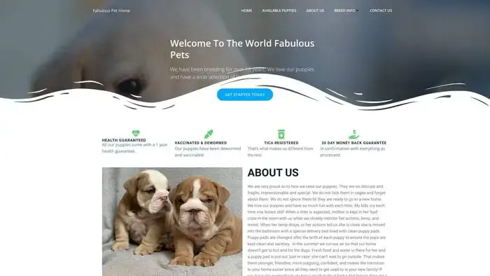 Screenshot of