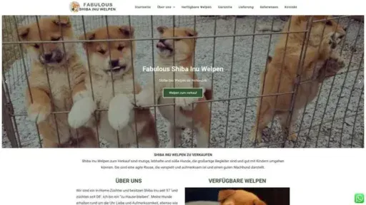 Screenshot of