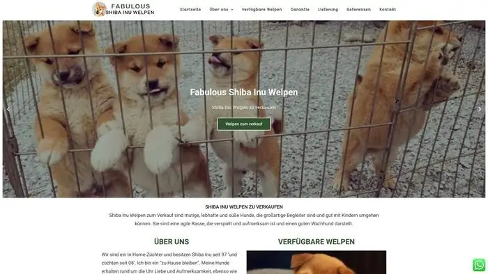 Screenshot of