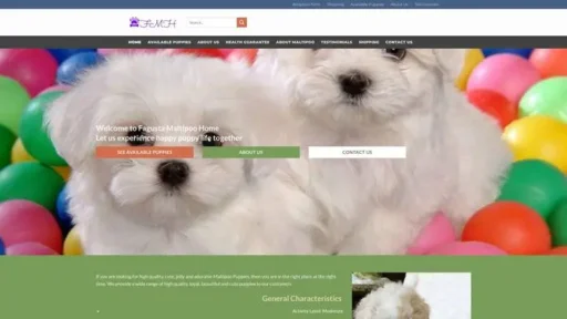 Screenshot of