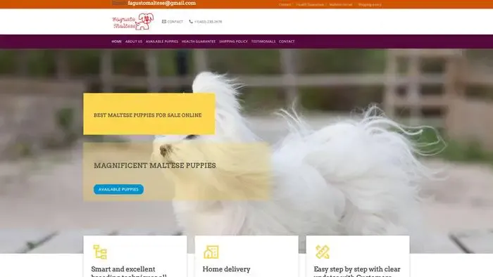 Screenshot of