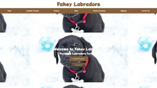 Screenshot of