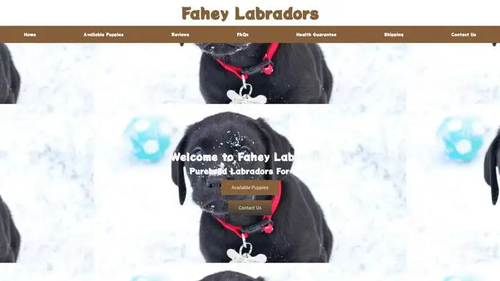 Screenshot of