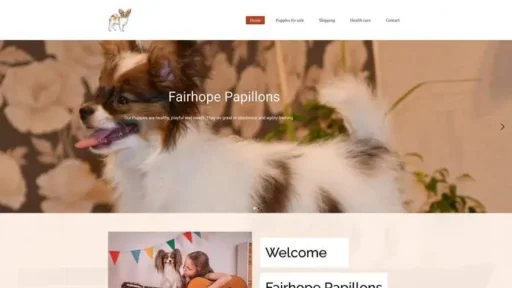 Screenshot of