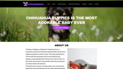 Screenshot of