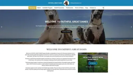 Screenshot of
