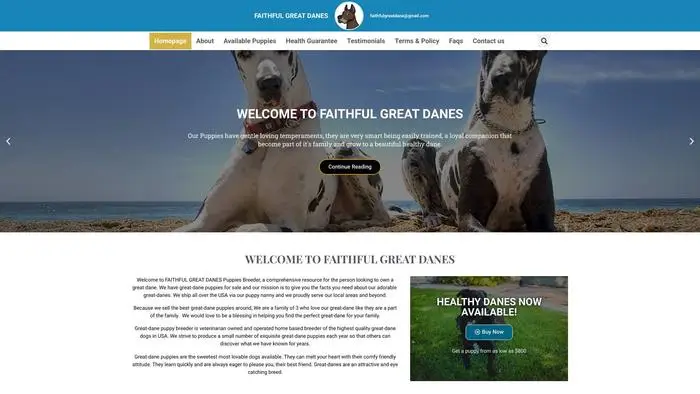 Screenshot of