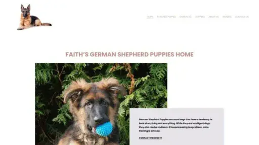 Screenshot of