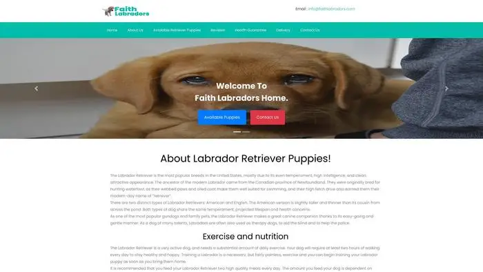 Screenshot of