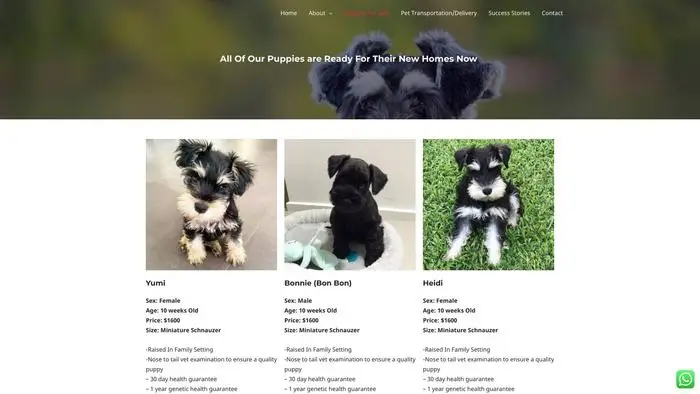 Screenshot of