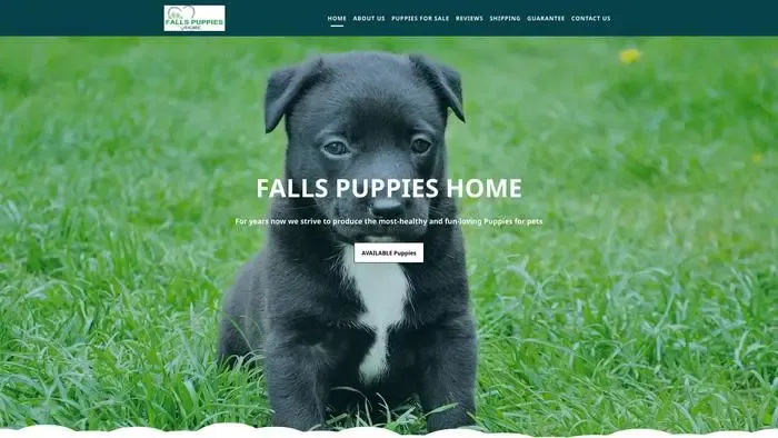 Screenshot of