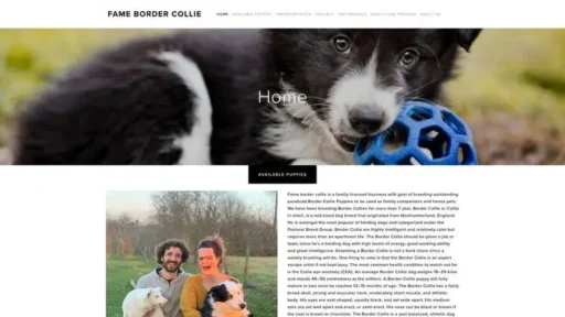Screenshot of