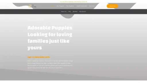 Screenshot of