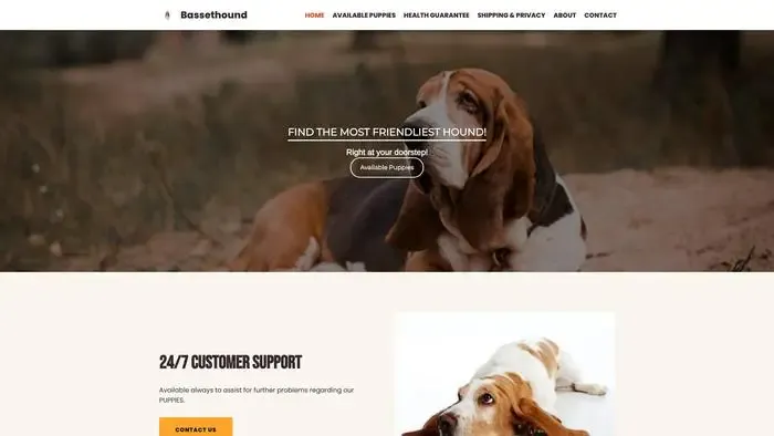 Screenshot of