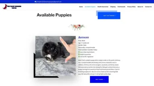 Screenshot of