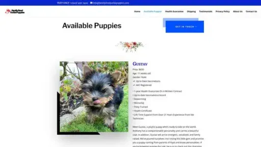Screenshot of