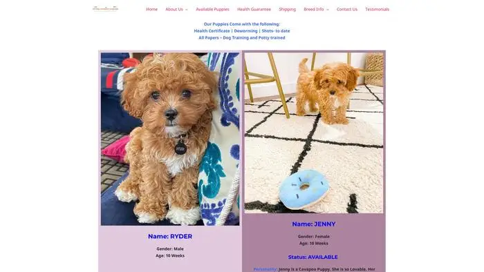 Screenshot of