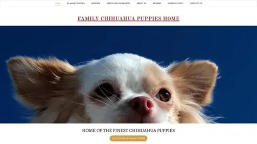 Screenshot of