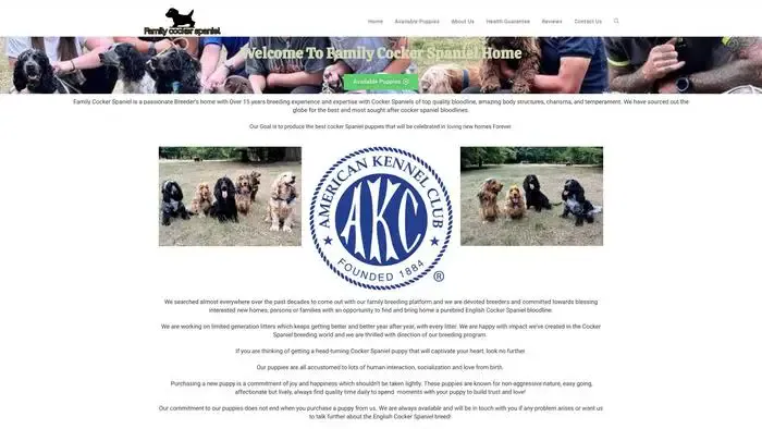 Screenshot of