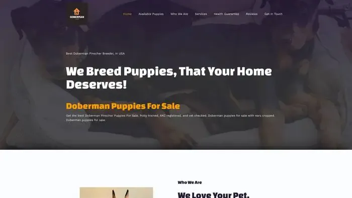Screenshot of