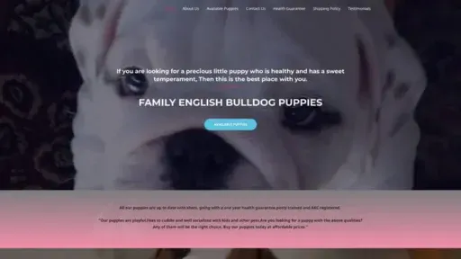 Screenshot of
