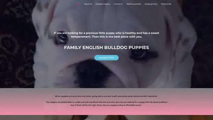 Screenshot of