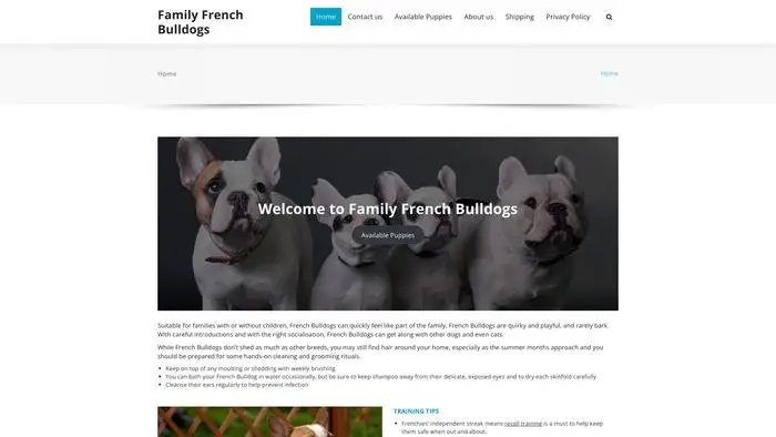 Screenshot of