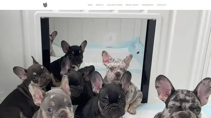 Screenshot of