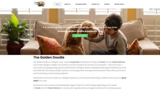 Screenshot of
