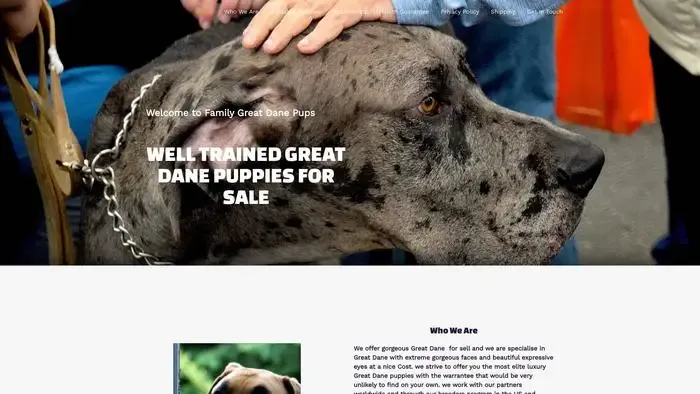 Screenshot of