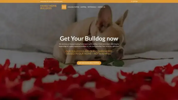 Screenshot of
