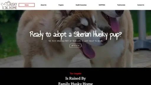 Screenshot of