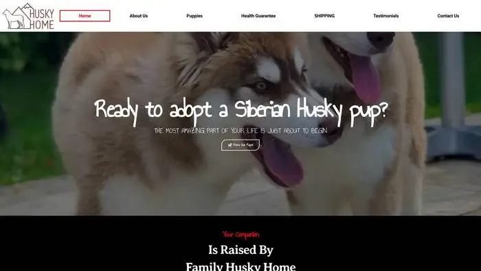 Screenshot of