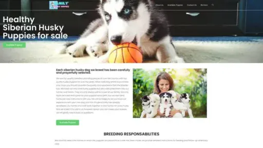 Screenshot of