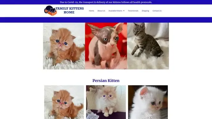 Screenshot of