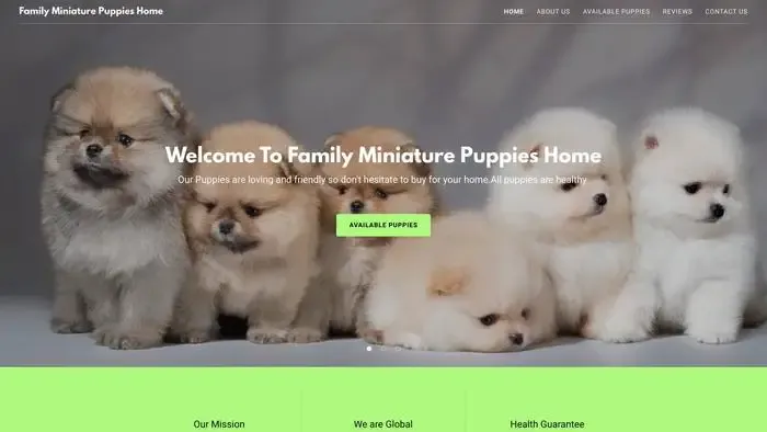 Screenshot of