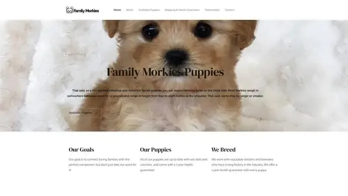 Screenshot of