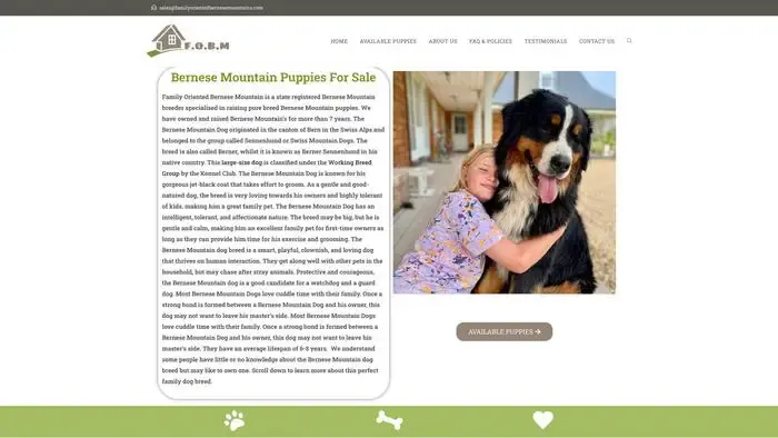 Screenshot of