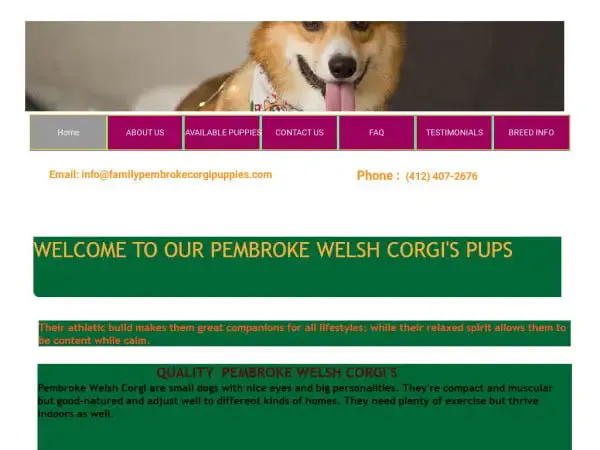 Screenshot of