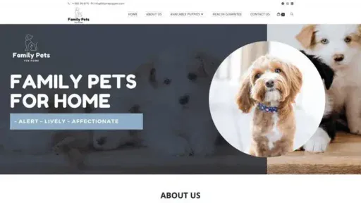 Screenshot of