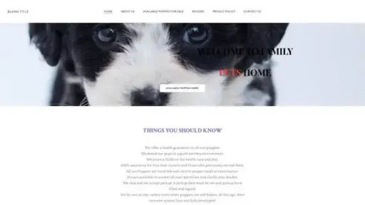 Screenshot of
