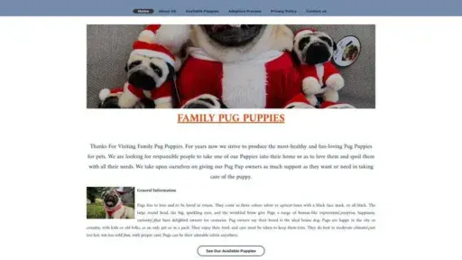 Screenshot of