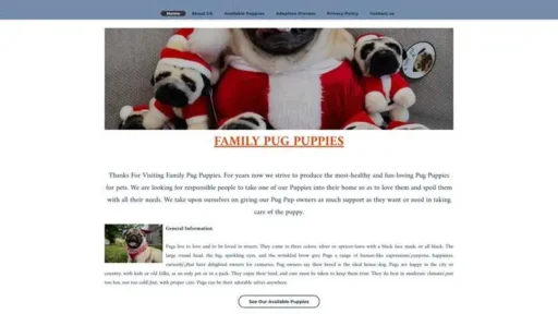 Screenshot of