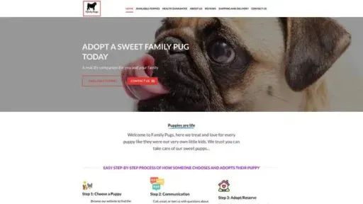 Screenshot of