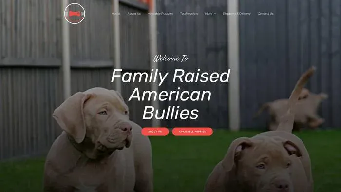 Screenshot of|